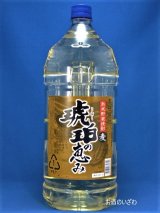 本格熟成麦焼酎　琥珀の恵み(こはくのめぐみ)　２５度（４L）　４０００ｍｌペット　鹿児島県　若松酒造